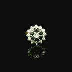 9ct Gold Blue Sapphire and Diamond Cluster